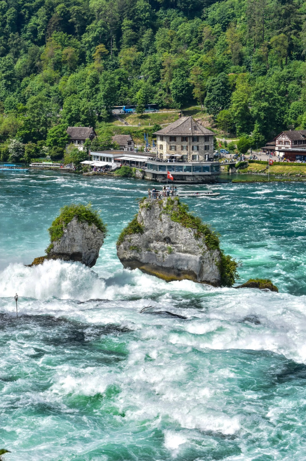 蘇黎世近郊風情一日遊（慢享自然+人文體驗版）