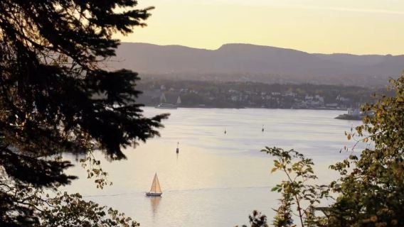 Oslo Day Tour + Optional Attractions + 10-Hour Service [Private Charter + Consultation Discount]