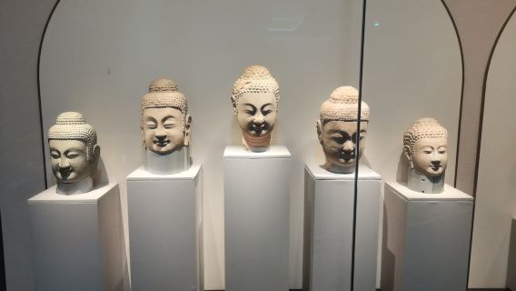 四川博物院 · 可選中英雙語專業導覽服務