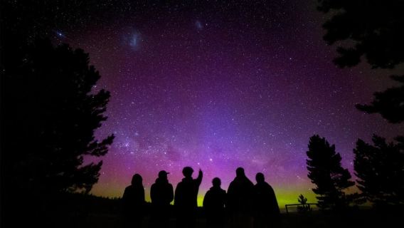 Tour della Stella Camaleonte a Tekapo, Isola del Sud della Nuova Zelanda [Opzione Cinese/Inglese | Bevanda calda + marshmallow tostati + foto delle stelle + visita guidata con guida astronomica professionale inclusa]