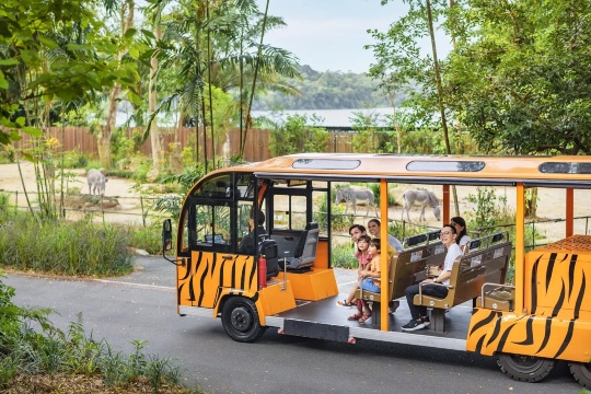 Pusat Sains Singapura + Zoo Malam + Haji Lane + Bot Itik + Merlion Park