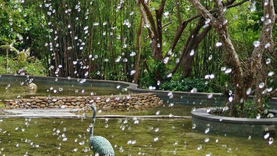 亞龍灣熱帶天堂森林公園1到6人包車遊【1單1團·純玩】