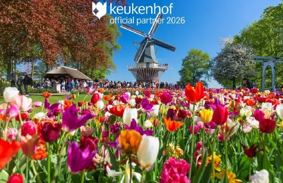 阿姆斯特丹：庫肯霍夫花園門票及接駁車，可彈性安排回程時間