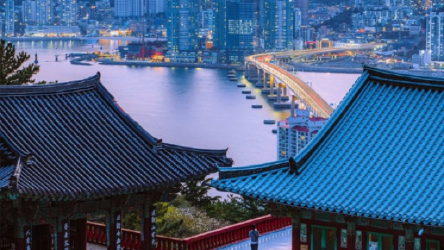 韓國全境： 中文-韓語 專業翻譯｜商務陪同拜訪｜旅遊地陪導遊｜皮膚管理翻譯｜可定制包車