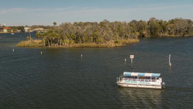 Crystal River: Manatee Viewing & Sightseeing Boat Tour
