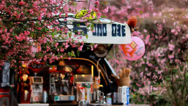 Lawatan Sehari Kampung You Er Bunga Begonia [Musim Bunga Mekar]