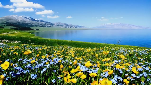 Ili Departure Sayram Lake Private Transfer 1-Day Tour: Hussle free + Mutiple Car Options