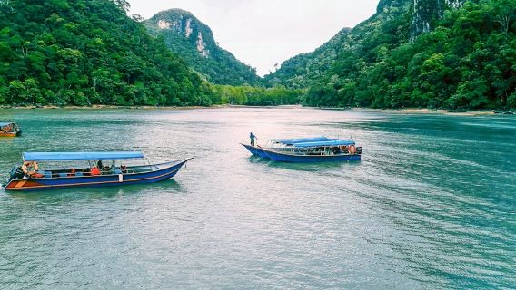 Langkawi Mangrove Tour Private 2 Hours – Kilim Geo Forest Park, Eagle Watching, Bat Cave