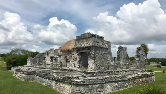 Pemandu Pelancong Tempatan/Penterjemah/Pameran/Penterjemah Perniagaan di Cancun - Perkhidmatan Cina/Inggeris