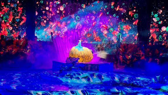 西雙版納大佛寺銀湖劇院（傣魅）（外場篝火，內場表演）