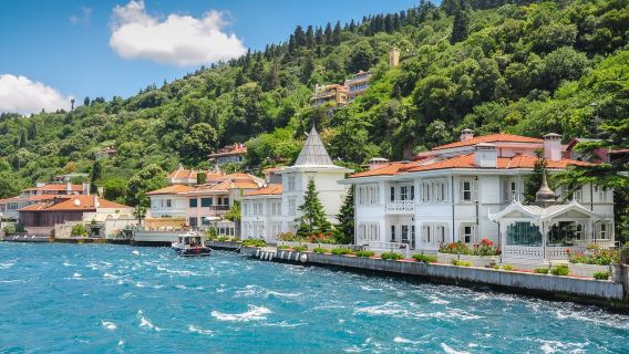 Excursion en ferry aux Îles des Princes depuis Istanbul
