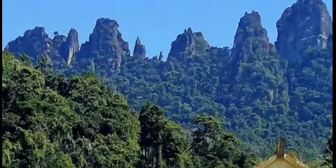 專車接送|保亭七仙嶺温泉國家森林門票+七彩雲梯+空中玻璃漂流