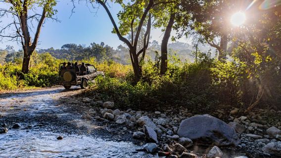 Desde Sariska: Safari por la jungla en Gypsy en el Parque Nacional de Sariska