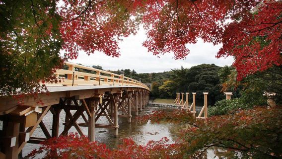 Autumn leaves season maple viewing | Japan Ise Jingu + Nabana no Sato 1-day tour light luxury small group