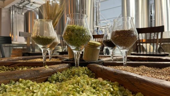 Bariloche: Beer Experience 'Discover the World of Craft Beer'