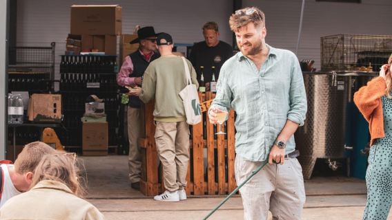 Bristol: Wine and Cider Tour with Tastings