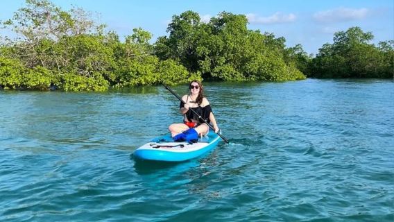 Zanzibar: Mangrove Kayaking and Village tour with Fruits