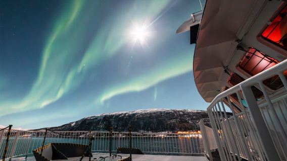 Tromsø: Wal-Expedition | 99 % Erfolgsquote | All inclusive