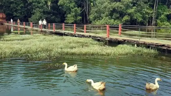 ゴア：グループ向けショアエクスカーション オールドゴア＆スパイス農園見学（ランチ付き）