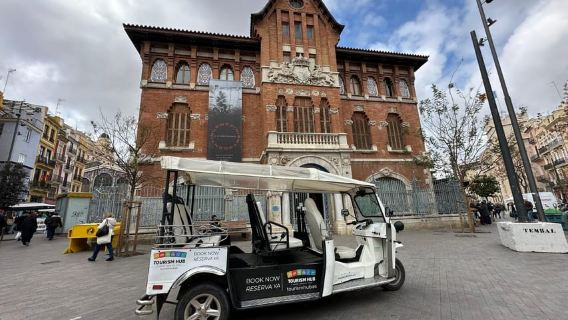 Valencia: Visit the Historic Center of Valencia by Tuk-Tuk