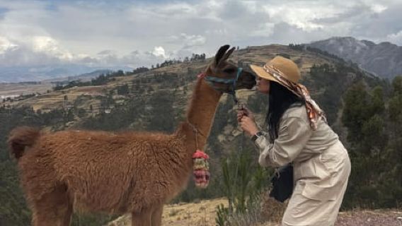 Cusco: Nature walk with alpacas and llamas.
