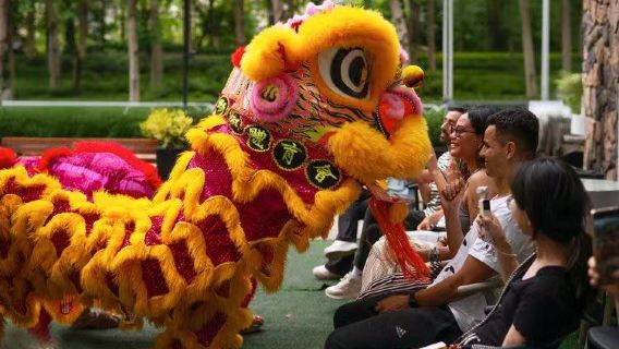Foshan intangible cultural heritage Wing Chun masterclass & private full-day lion dance tour|Bilingual in Chinese and English