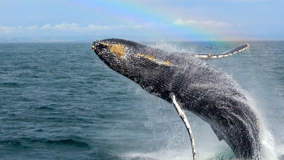Monterey CountyTours