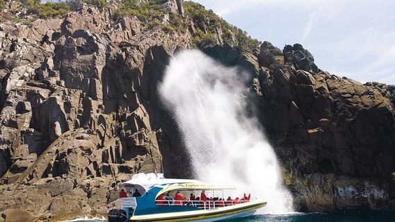 FranklinTours