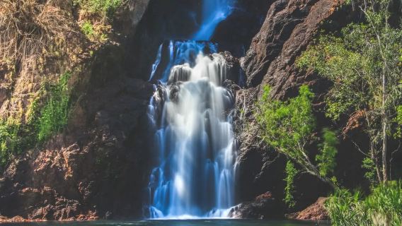 Tour durch den Litchfield-Nationalpark und die Fogg Wetlands (inkl. Abholung vom Hotel in der Stadt)