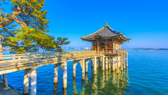 彥根市日遊