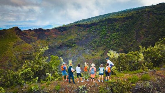 The Big Island (Hawaii island)Experiences