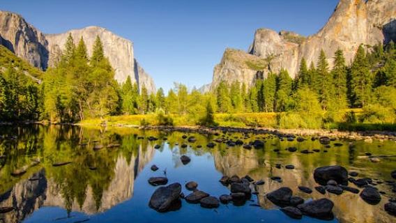 Yosemite National Park full-day tour from San Francisco
