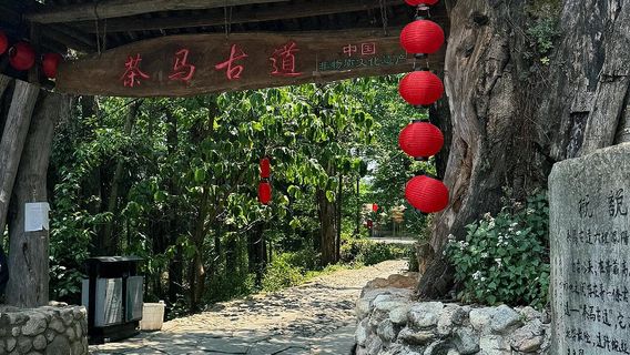 Dali Prefecture
