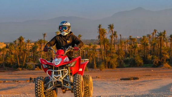 Marrakech: 2-Hr Quad Ride + Roundtrip Transport
