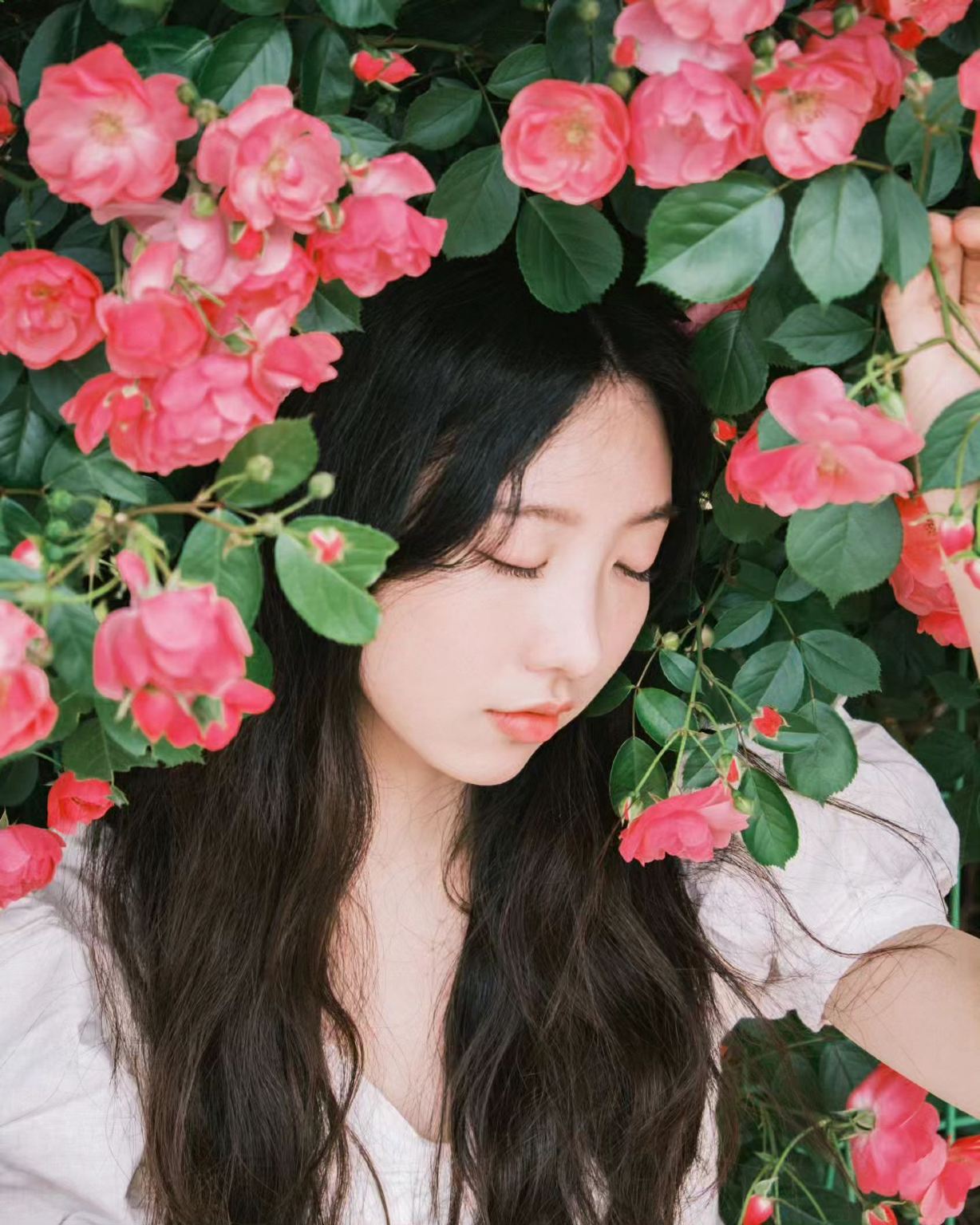 Servizi fotografici a Chifeng[Autista, guida, Trip Moments + trucco e abbigliamento + itinerario personalizzato + mini-film con drone + tutte le foto originali incluse + numero illimitato di persone]