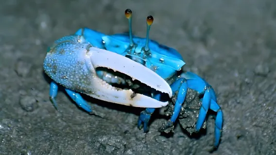 萬榮一日遊【坦江溶洞+藍色蟹湖1號洞打卡+藍色蟹湖2號洞】