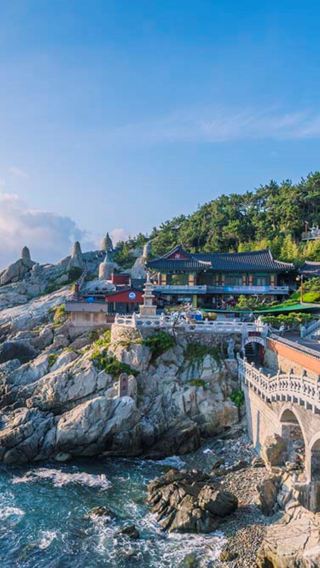 The Essential Busan: Coastal Views, Local Markets & Culture Tour (7 Spots: Cheongsapo, Gamcheon Culture Village)
