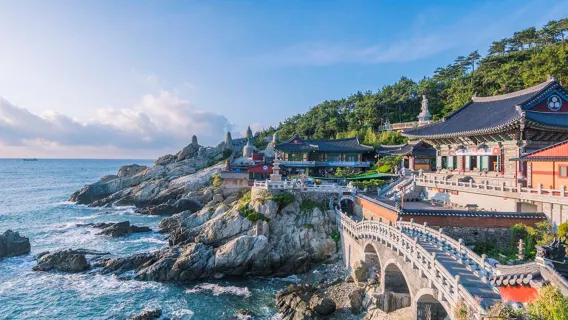 Lo mejor de Busan: templo Yonggungsa + mercado local + Aldea Cultural Gamcheon y otros 4 lugares en excursión de un día