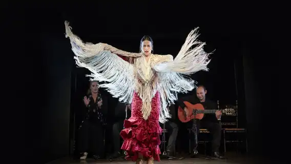 La Bulería Flamenco Show with Dinner