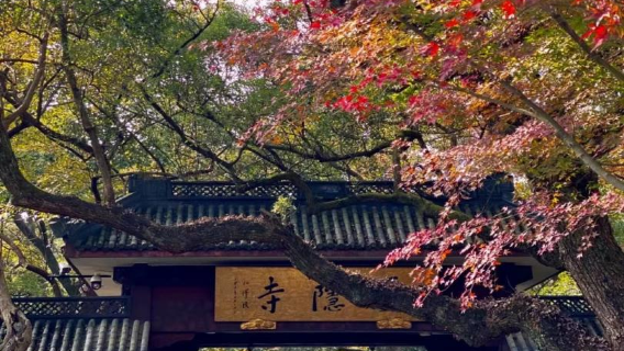 杭州・霊隠寺+飛来峰日帰りツアー【優先入場+ガイド付き解説+巾着袋プレゼント】