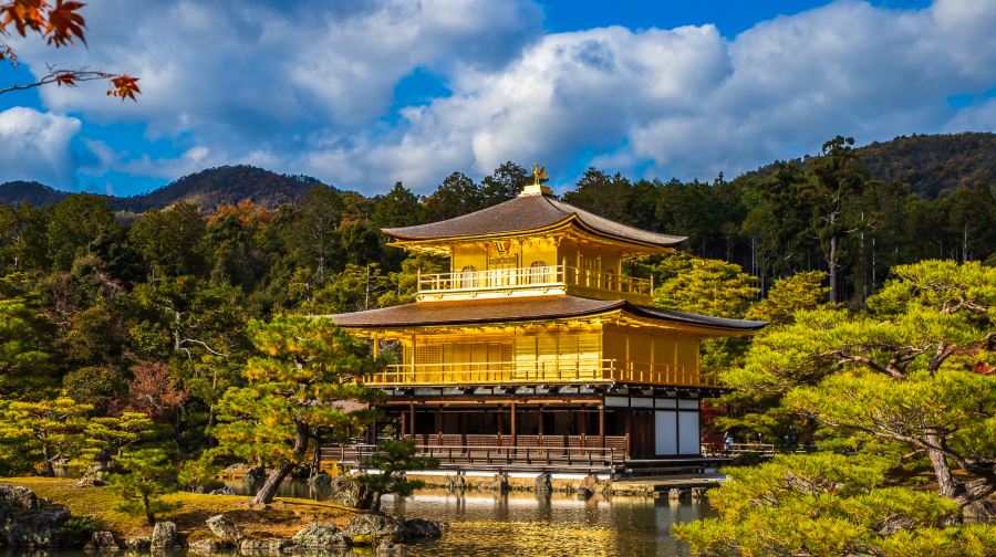 京都一日遊丨嵐山&金閣寺&清水寺&伏見稻荷大社（大阪出發）