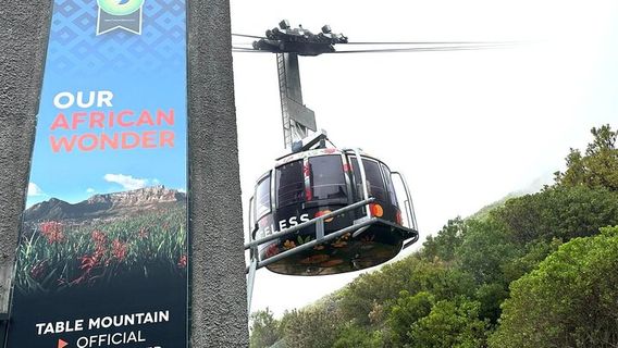 Cape TownTours