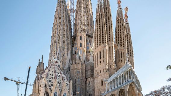 Sagrada Familia: Guided Tour + Tower Access