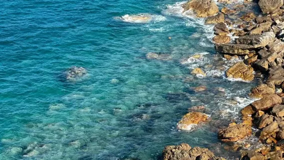 선전 장미해변+귤낚시해변(쥐댜오샤)+양메이갱+대붕소성 당일 치기 여행-영어 서비스 가능