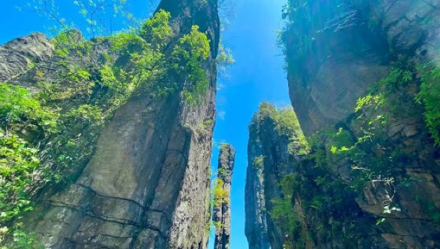 恩施大峽谷一日遊【多組合可選·含接駁·含50元景交·純玩團】