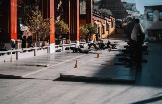 西藏拉薩-全境翻譯/導遊/地陪 　  人工講解|歡迎查詢