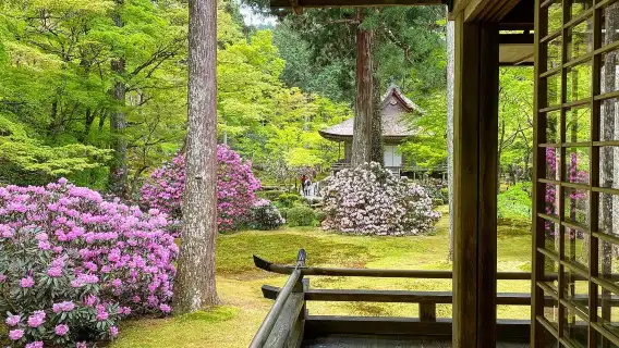 日本京都嵐山+三千院+貴船神社一日遊【可選9人精品小團/可選酒店上門接送 中文司導 純玩無購物】