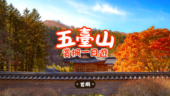 襄陽日遊