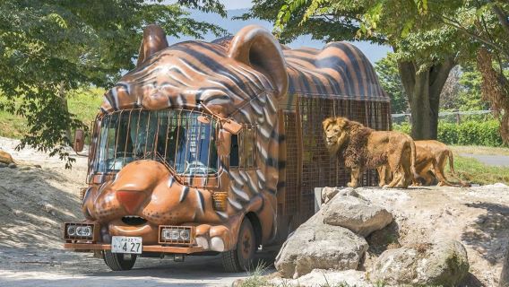 Kyushu, Japan: Ein Tagesausflug in einen Zoo, zur Märchenstraße Yufuin und zu Bergblicken