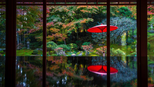 京都琉璃光院平替舊竹林院+琵琶湖觀景台遠眺+小眾寺院永觀堂